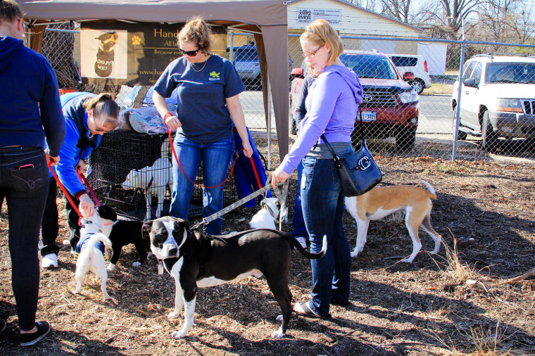 Emancipet grand opening